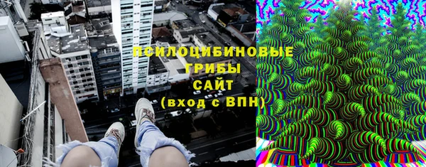 синтетический гашиш Алексин