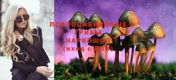 кокс Алексеевка