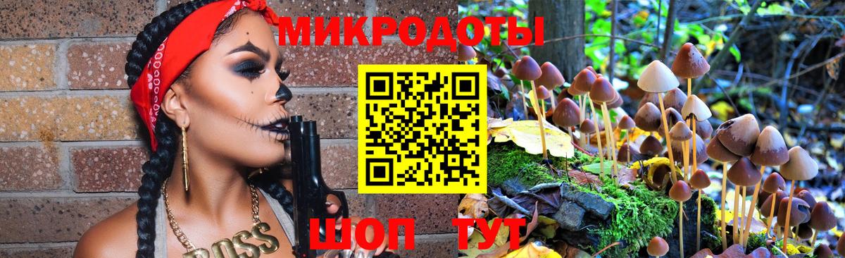 магазин    Псилоцибиновые грибы MAGIC MUSHROOMS  Вход с VPN  Псилоцибиновые грибы MAGIC MUSHROOMS  Апрелевка 