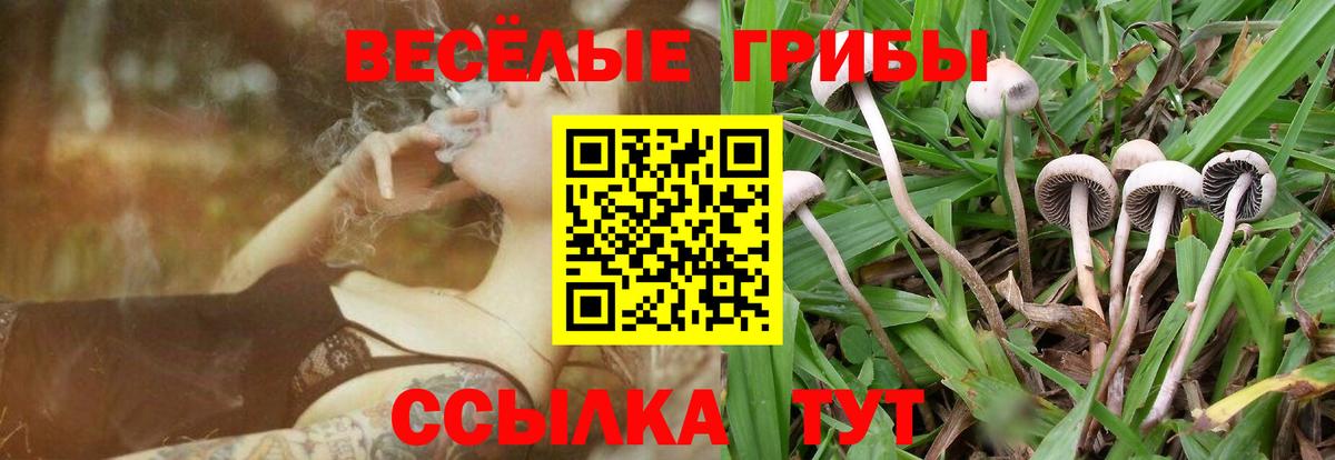 Псилоцибиновые грибы ЛСД Апрелевка